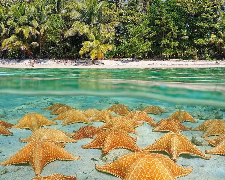 Bocas del Toro Travelmediate Welcome to paradise