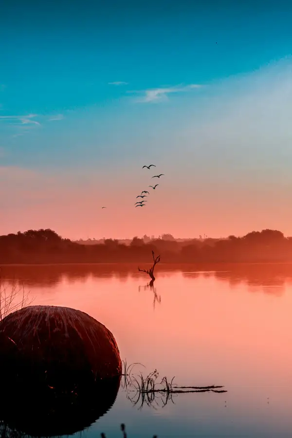 Botswana-gallery