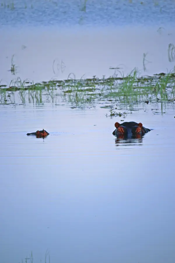 Botswana-gallery