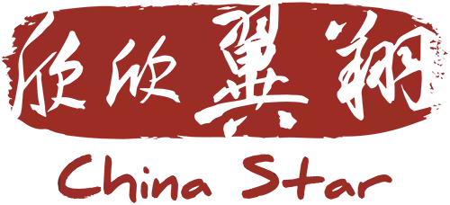 China Star DMC logo