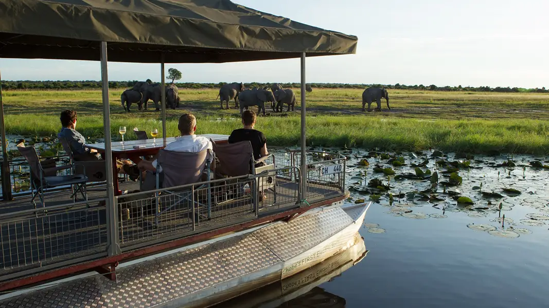 Chobe National Park Travelmediate Land of the giants