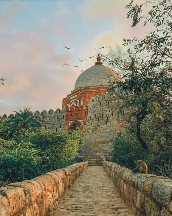Delhi Travelmediate India