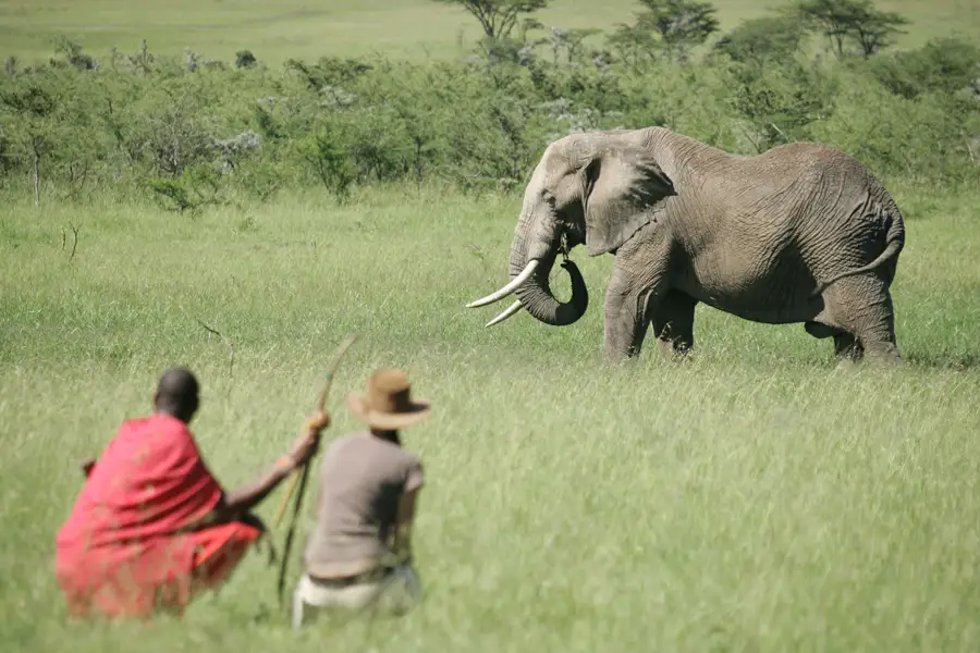Kenya-gallery