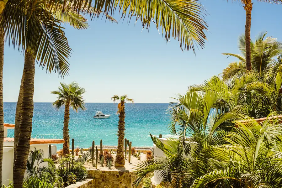 Los Cabos Travelmediate Mexico
