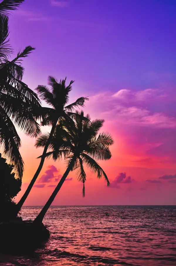 Maldives-gallery