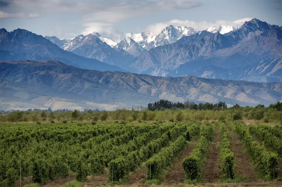 Mendoza Travelmediate Where vineyards meet majesty
