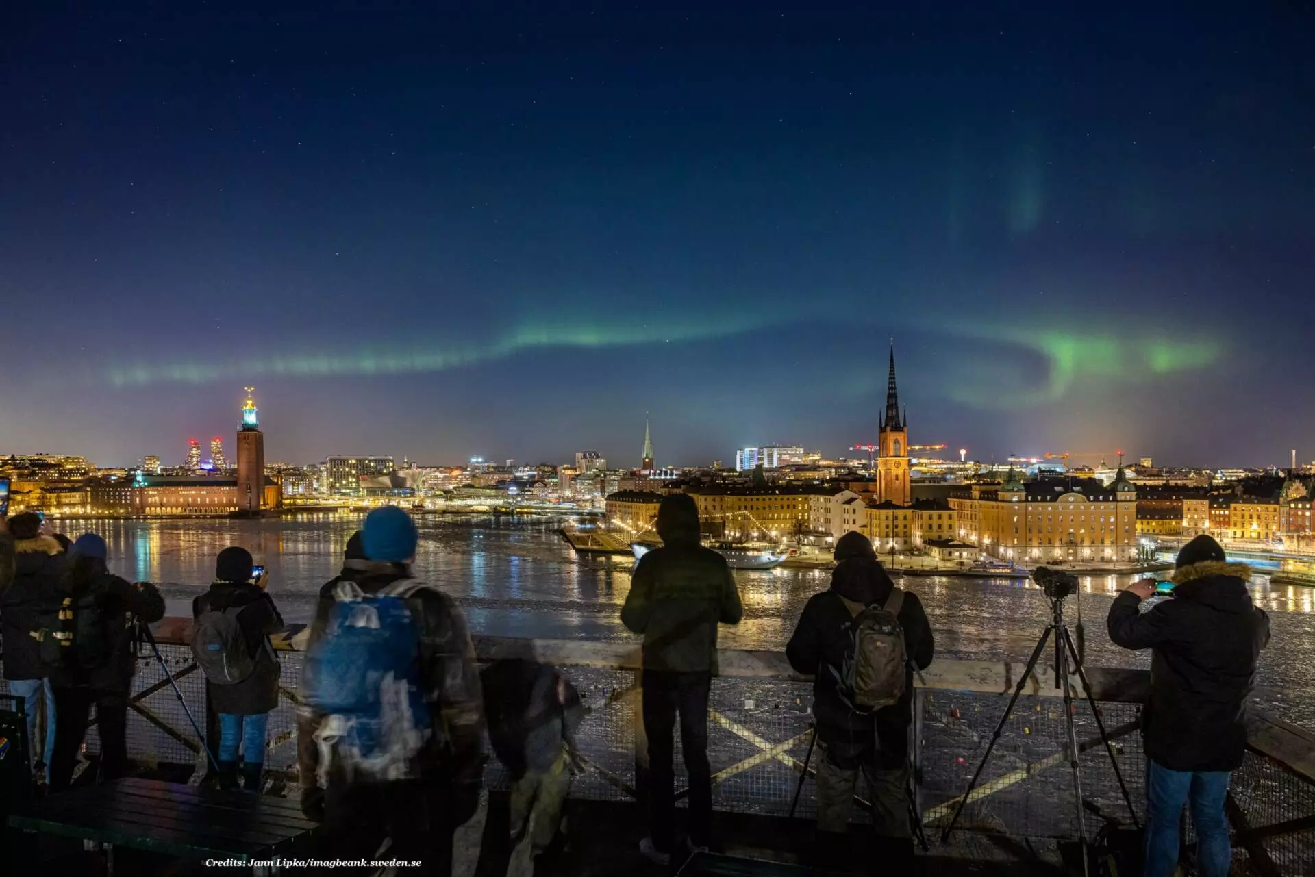 Nordic Factor-gallery