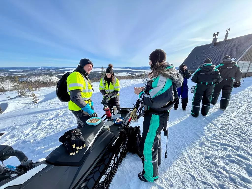 Nordic Factor-gallery