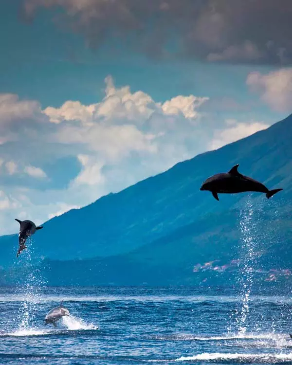 Portuguese Islands Travelmediate Untouched nature