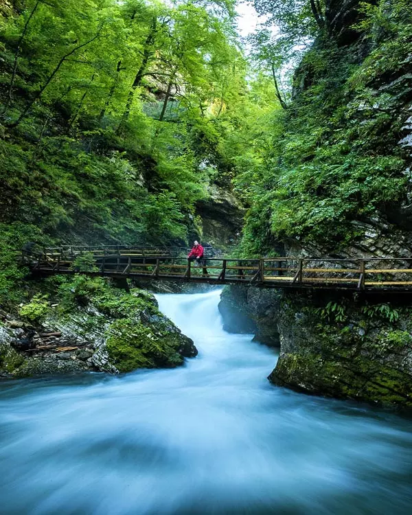 Slovenia-gallery