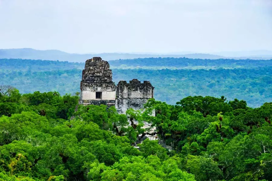 Echoes of the ancientsEchoes of the ancients