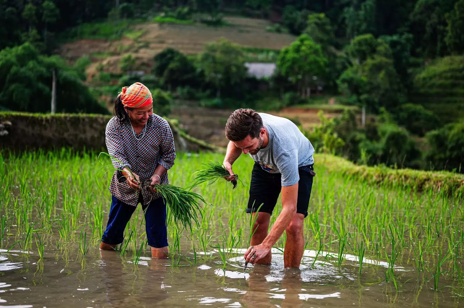 Vietnam Travelmediate Vietnam