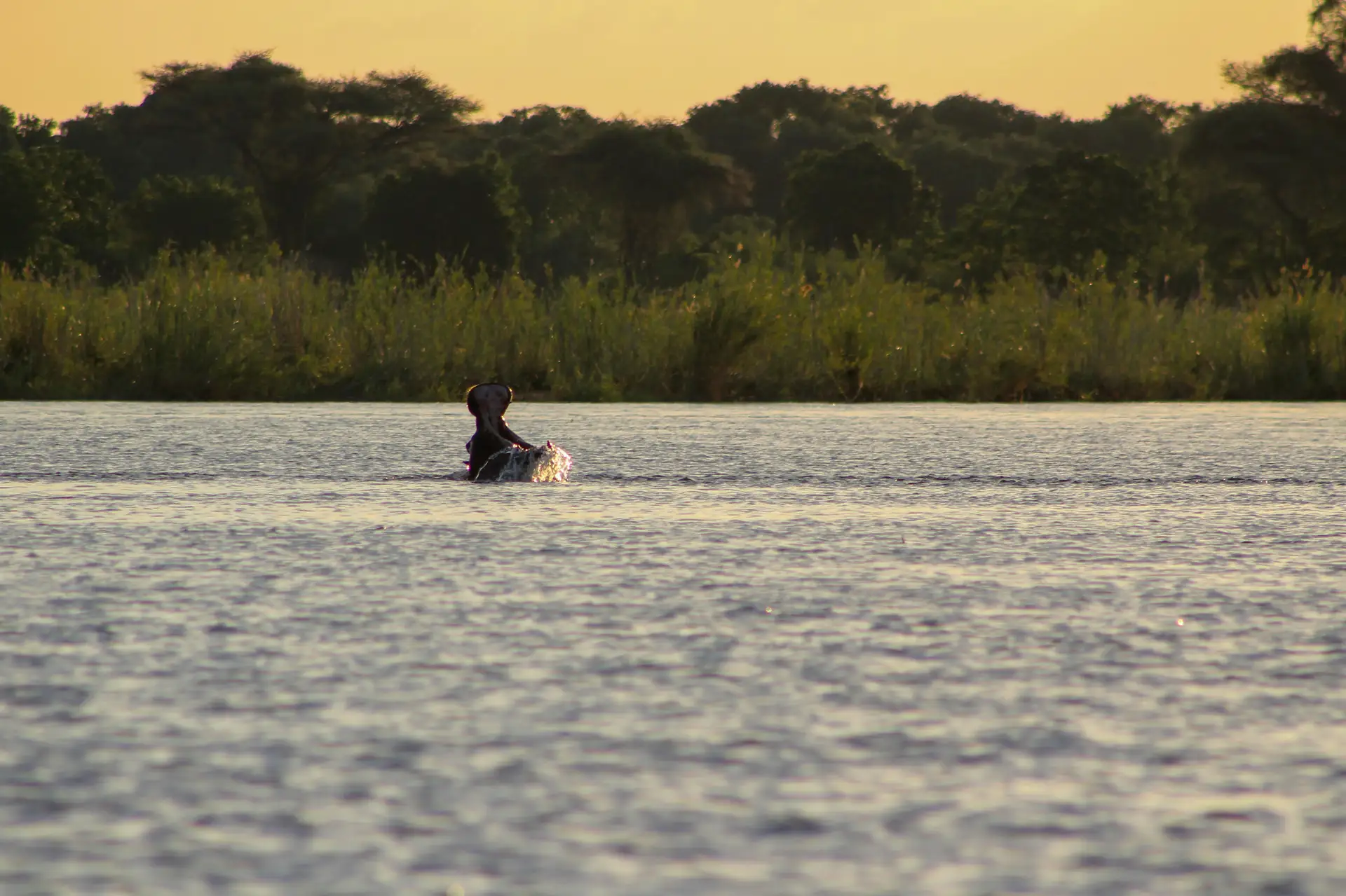 Zambia